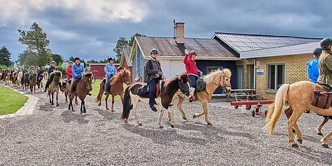 Heste Klubber og andre Klubber er også velkommen på Jammerbugt Camping